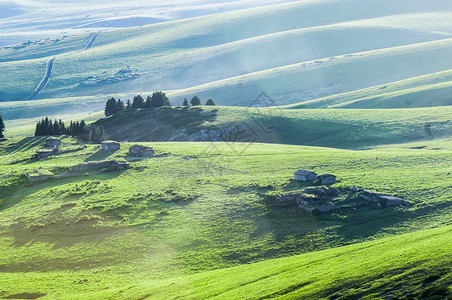 新疆天山牧场背景图片