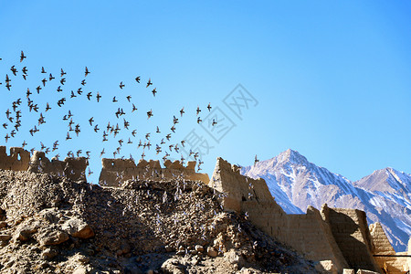 塔什库尔干石头城喀什风景集锦背景