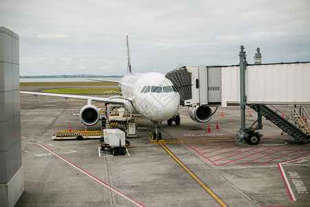 新西兰航空飞机背景