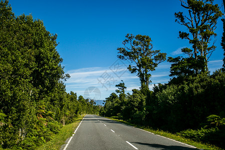 新西兰公路图片
