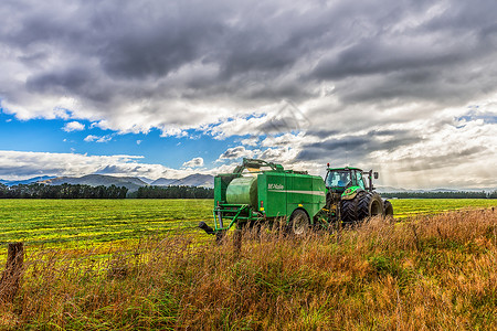 牧草蓝天白云下的新西兰农场风光背景