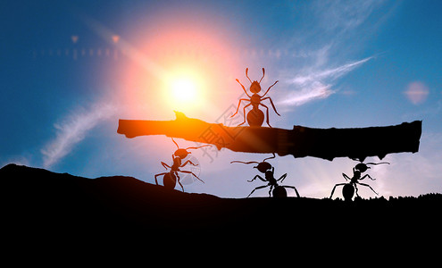 蚂蚁团队团队合作设计图片