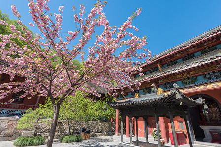 琅琊寺安徽滁州琅琊山风光背景