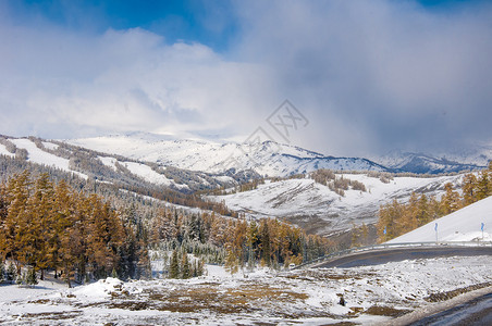 新疆阿尔泰山秋景雪景背景