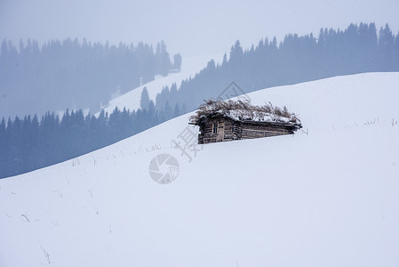 新疆天山冬季木屋背景图片