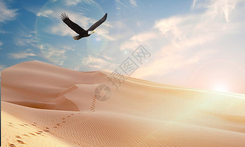 沙漠脚印雄鹰展翅设计图片