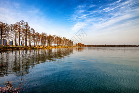 武汉东湖绿道风光背景图片