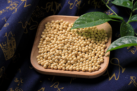 圆润的杂粮大豆背景图片