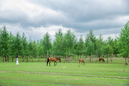 放马马背景