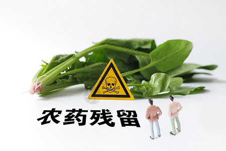 菠菜豆腐汤农药残留设计图片
