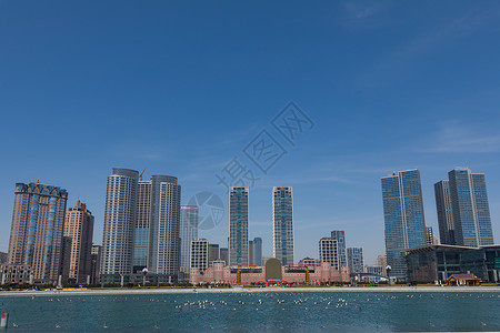 科技贸易大连星海建筑群背景