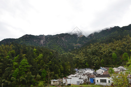 九华山春景雨后曾小贤高清图片