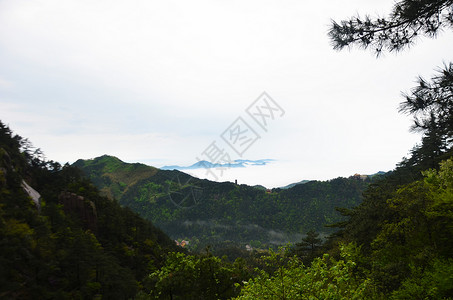 九华山春景背景图片