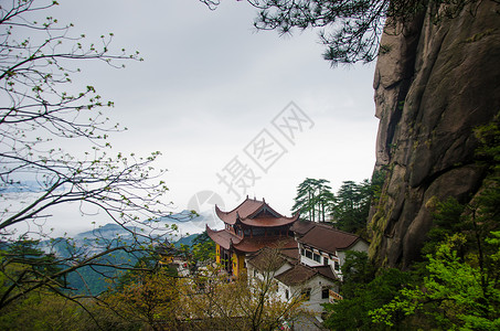 春天悬崖九华山春景背景