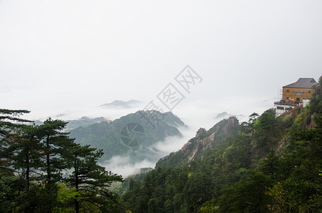 九华山春景背景图片