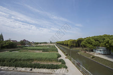 郊外自然风景背景图片