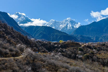 西藏林芝背景图片