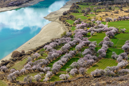 林芝雅鲁藏布江背景