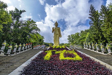 民族歌舞表演西双版纳景点大佛寺背景