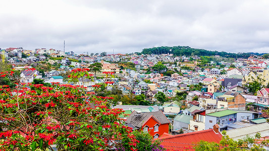 越南景观越南大叻城市风光背景