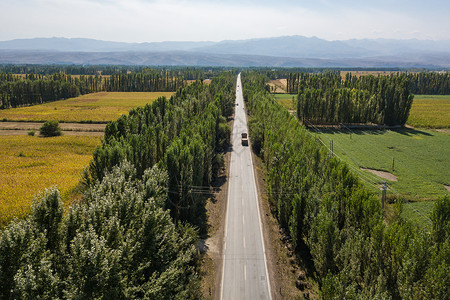 新疆公路图片