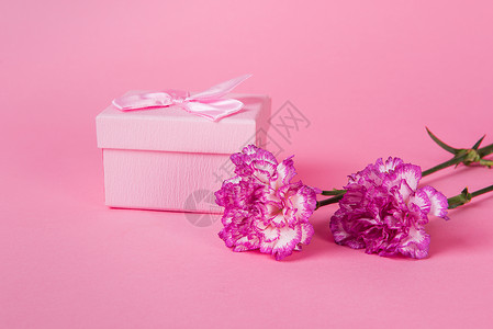 康乃馨与礼盒背景图片