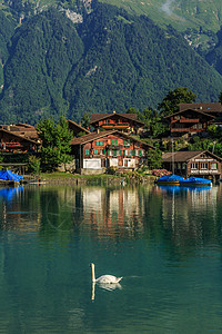 瑞士因特拉肯湖风光高清图片