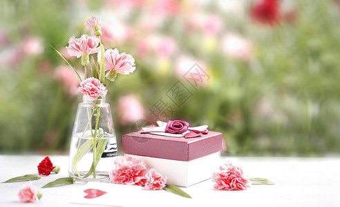 母亲节礼物康乃馨礼物粉色高清图片