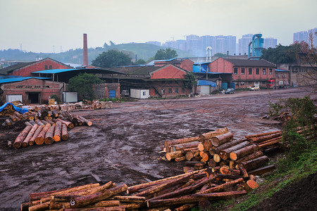 重庆市茄子溪木材厂图片