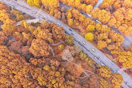 俯瞰城市秋天的道路背景图片