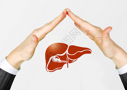 保护肝脏背景图片