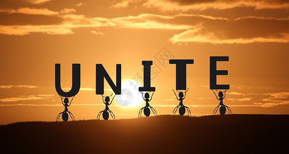 团结合作unite高清图片