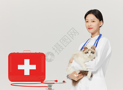 猫舍宠物拍摄宠物医疗设计图片