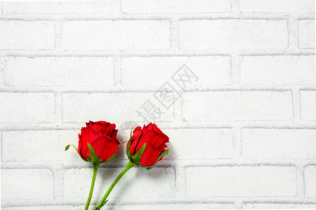 墙上的两朵红色玫瑰背景图片