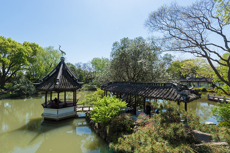 上海松江古典园林醉白池背景