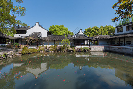 上海松江古典园林醉白池背景图片
