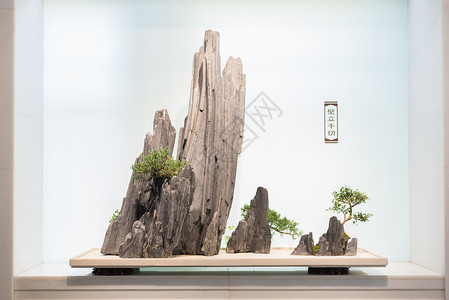 中式审美室内盆景背景图片