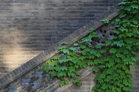 兴福寺荐福寺外的墙面和叶子背景