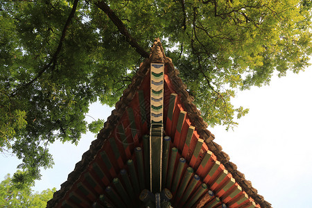 荐福寺小雁塔荐福寺高清图片