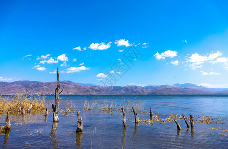 巧舌云南大理海舌生态公园背景