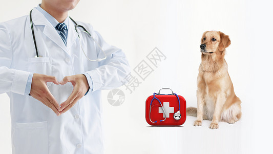 抱小狗宠物医生设计图片