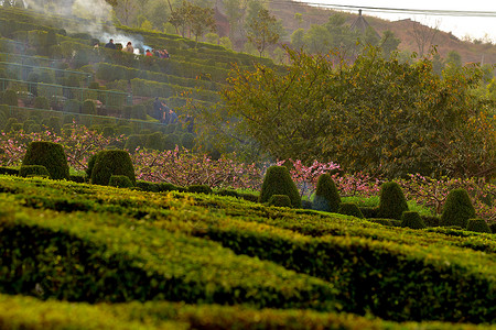 清明节祭祖扫墓成都龙泉长松寺墓地清明扫墓背景