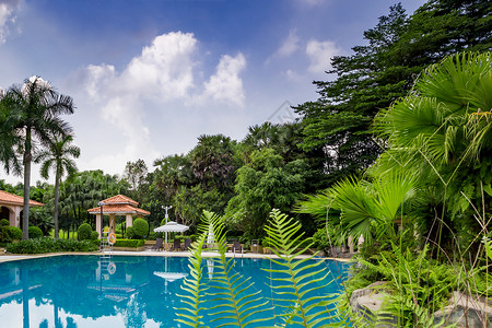 三亚酒店花园风景图片