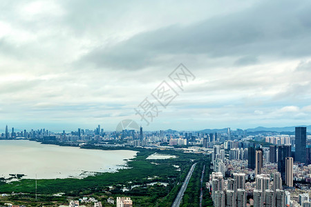 深圳湾公园背景图片