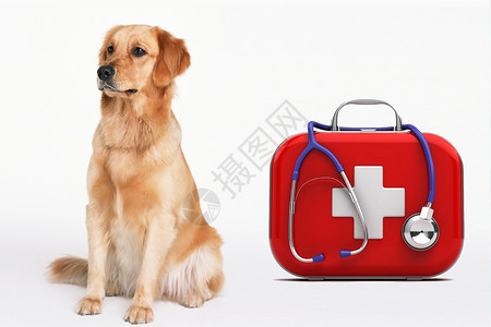狗宠物宠物医生设计图片