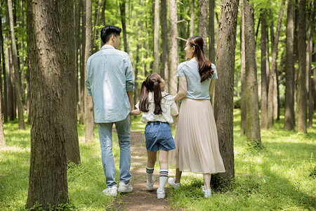 一家人在森林里散步背景图片