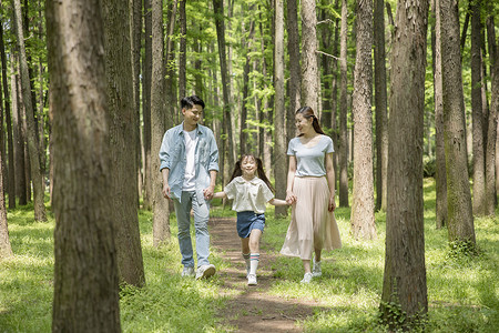 一家人在森林里散步背景图片