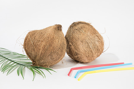 椰子水果棕榈叶高清图片