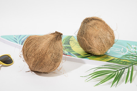 热带棕榈叶椰子背景