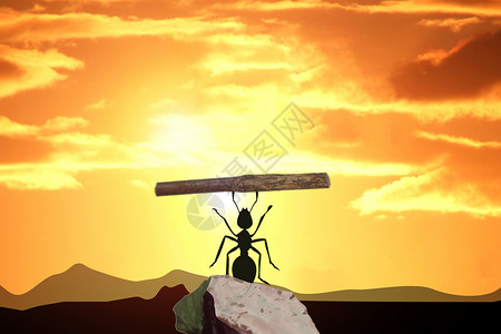 责任与担当夕阳下的蚂蚁设计图片